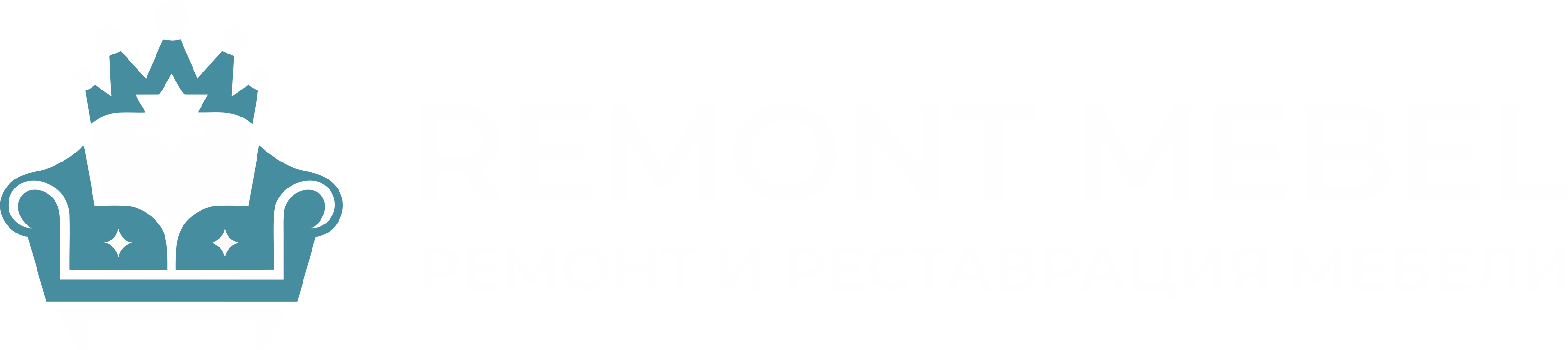 Remont Mebel